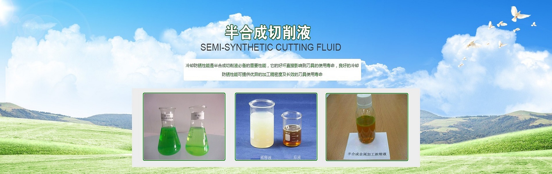 539dc2c16c6deee42d51d467c01939cb.jpg 539dc2c16c6deee42d51d467c01939cb.jpg